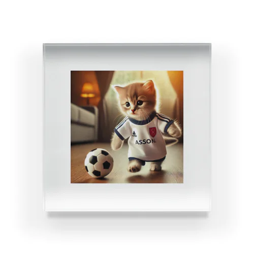 サッカーCat アクリルブロック