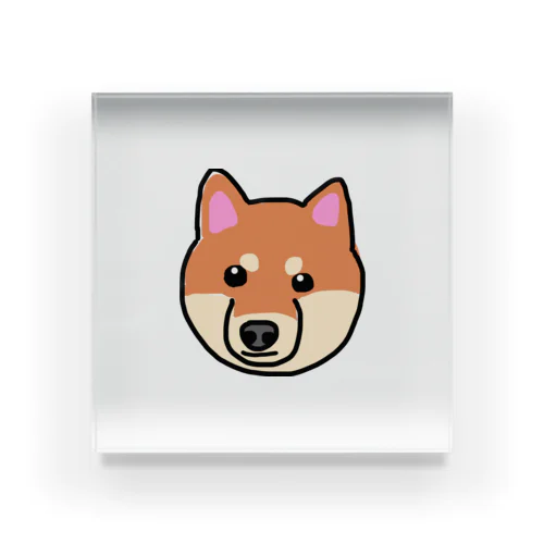 芝犬 Acrylic Block