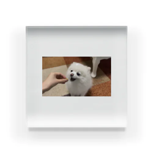 ちゃーちゃん Acrylic Block