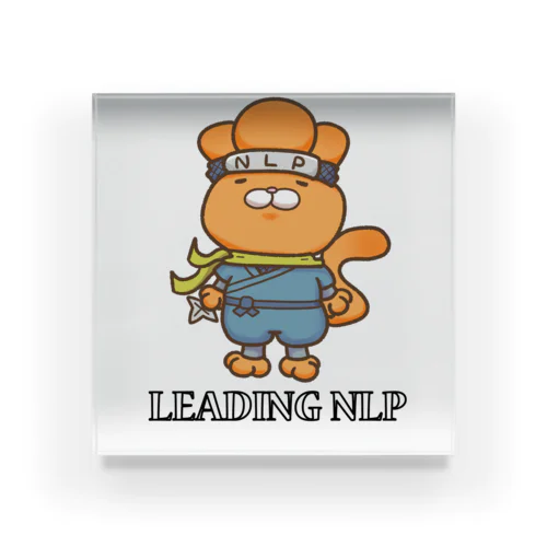 Leading NLP Ninja Acrylic Block