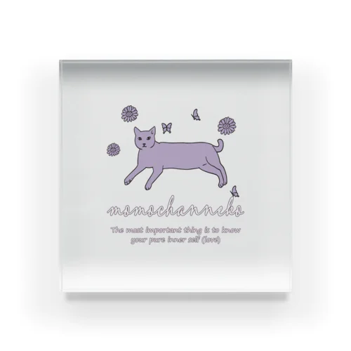 momochanneko Acrylic Block