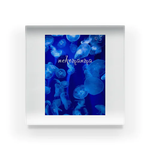 Fantasy of JerryFish  Acrylic Block