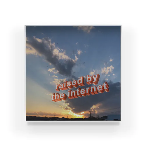 raised  by the internet Acrylic Block