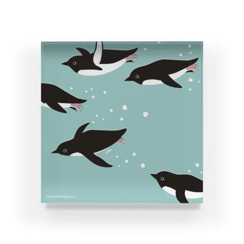 flying penguins Acrylic Block