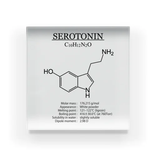 セロトニン(精神安定・感情コントロール)：化学：化学構造・分子式 Acrylic Block