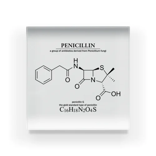 ペニシリン(青カビに含まれる抗生物質・感染症に対応）：化学：化学構造・分子式 アクリルブロック