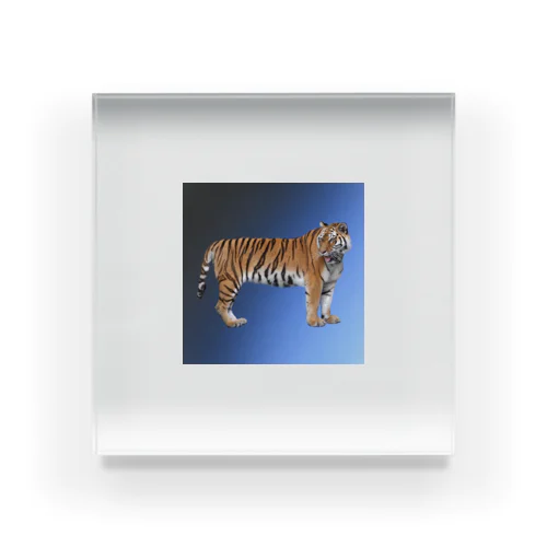 Tiger 青 Acrylic Block