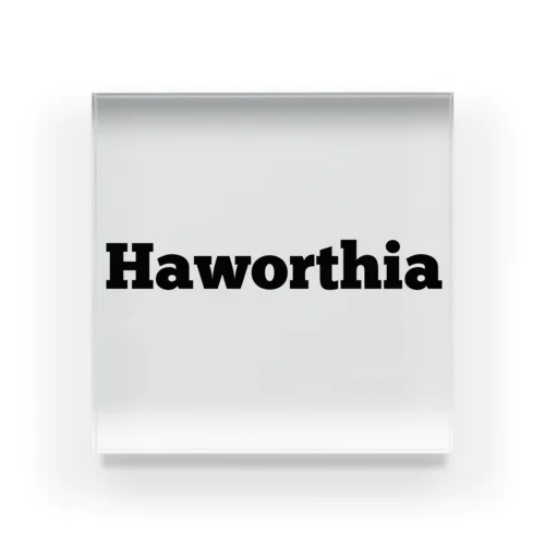 Haworthia アクリルブロック