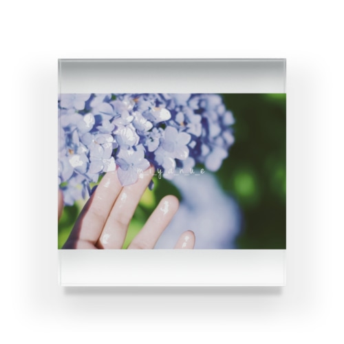 紫陽花 Acrylic Block