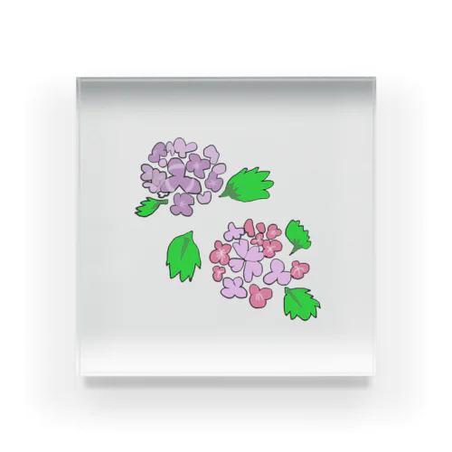 紫陽花 Acrylic Block