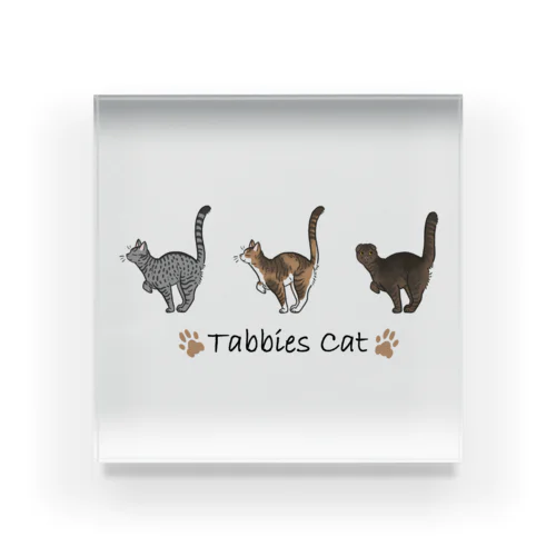 Tabbies Cat（タビー系） アクリルブロック
