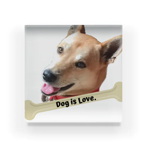 Dog is love アクリルブロック