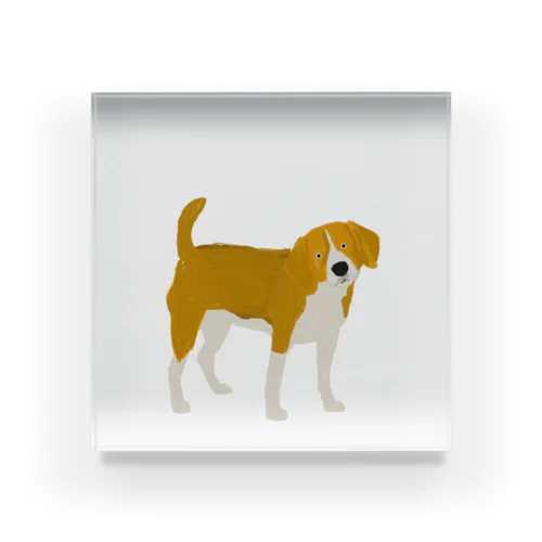 dog Acrylic Block