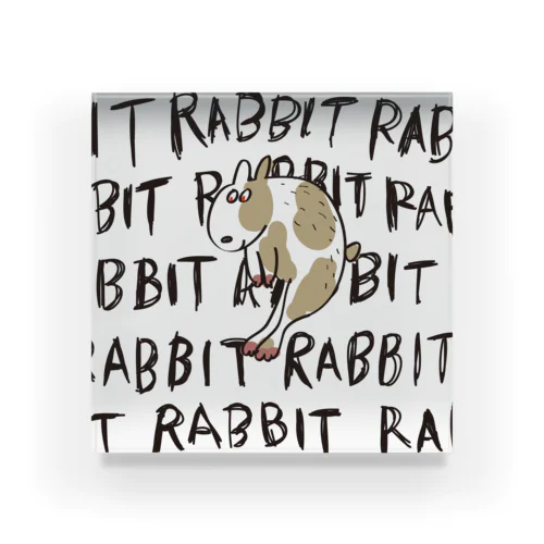 RABBIT Acrylic Block