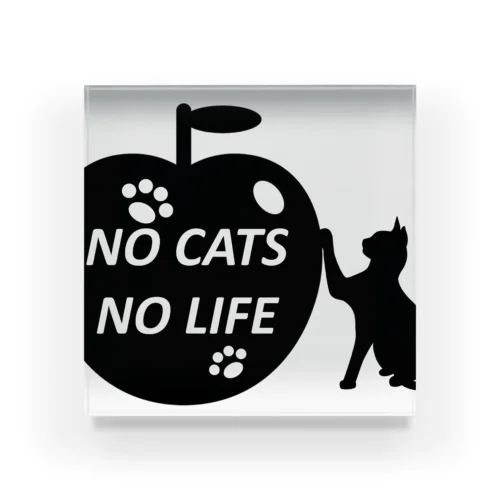 NO CATS NO LIFE Acrylic Block