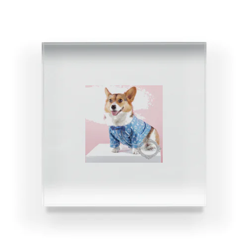 可愛い犬用シャツ Acrylic Block