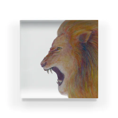 lion01 Acrylic Block