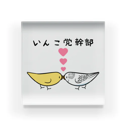 セキセイインコいんこ党幹部るちのーはるくいん【まめるりはことり】 Acrylic Block