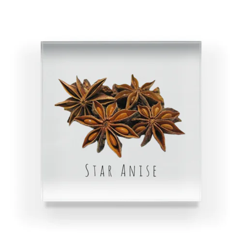 STAR ANISE Acrylic Block