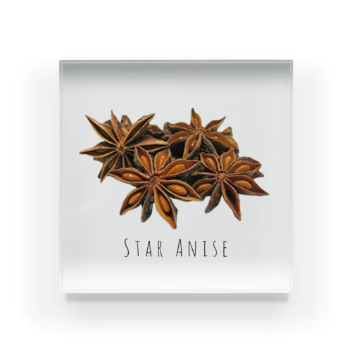 STAR ANISE アクリルブロック