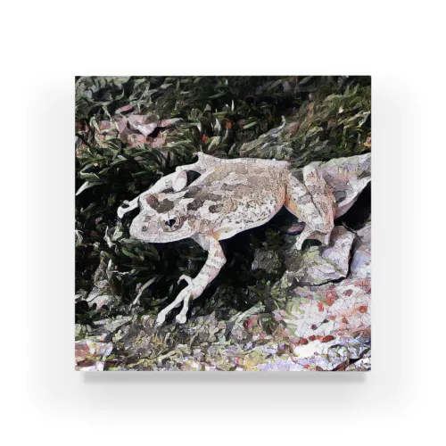 Fantastic Frog -Calm Version- Acrylic Block