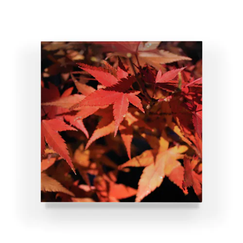 紅葉なぜ泣くの？紅葉の勝手でしょ Acrylic Block