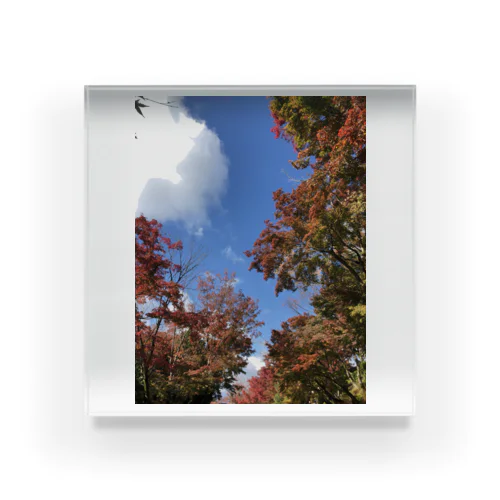 秋の景色 Acrylic Block