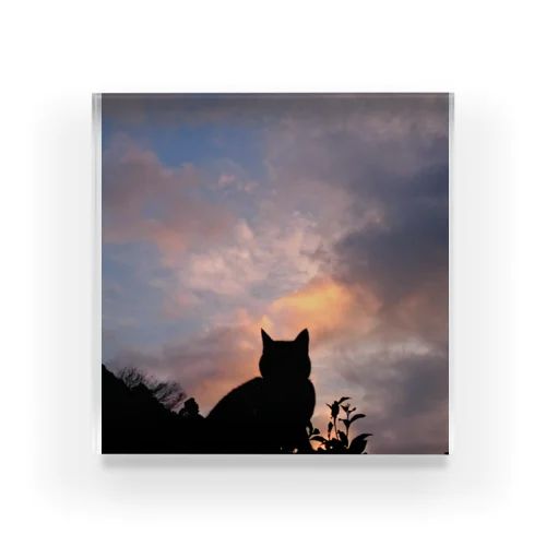 sunset cat Acrylic Block