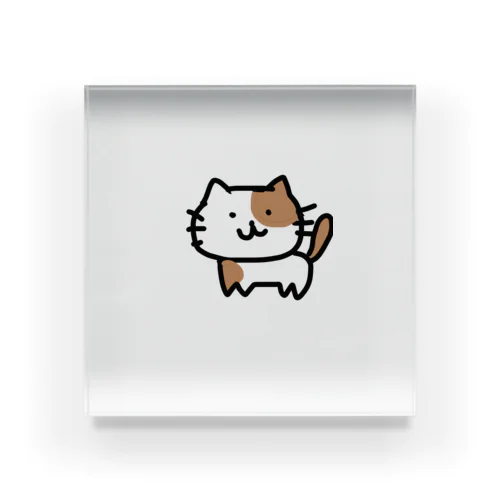 しろちゃねこ Acrylic Block