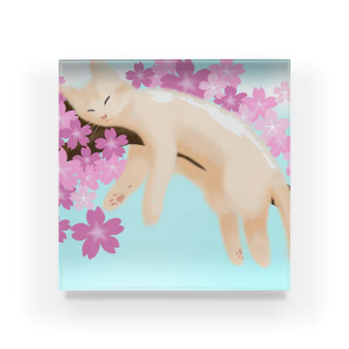 桜ねんねsky Acrylic Block