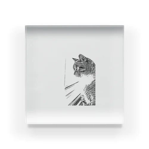 窓際の猫 Acrylic Block