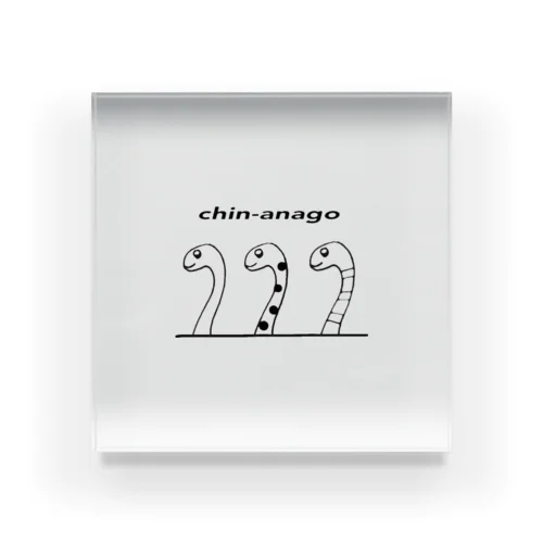 chin-anago アクリルブロック