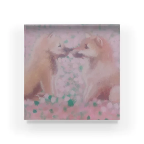 柴犬のしばことしばお Acrylic Block