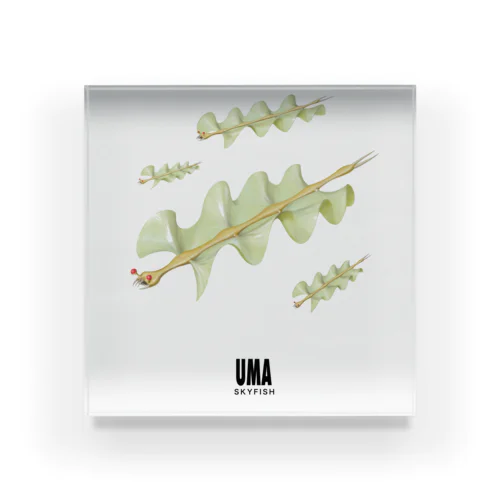 UMA（未確認動物）スカイフィッシュ Acrylic Block