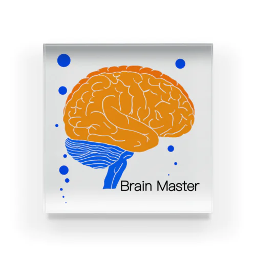 Brain Master アクリルブロック