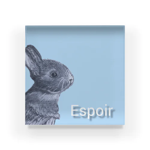 Espoir Acrylic Block