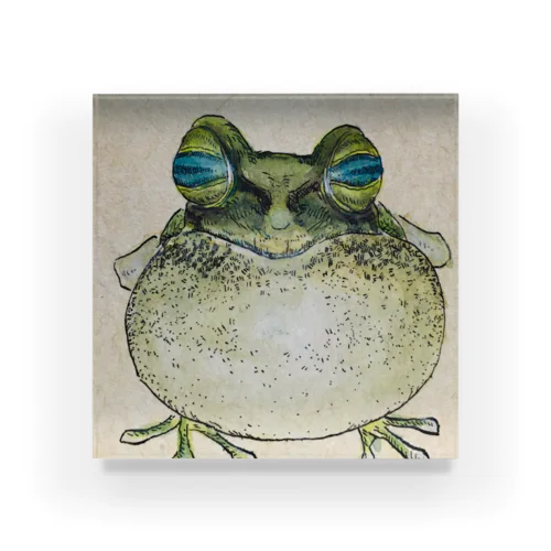 Frog Acrylic Block