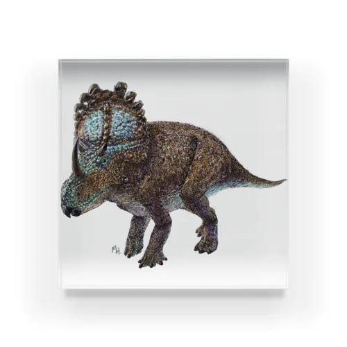 Sinoceratops(水彩） アクリルブロック