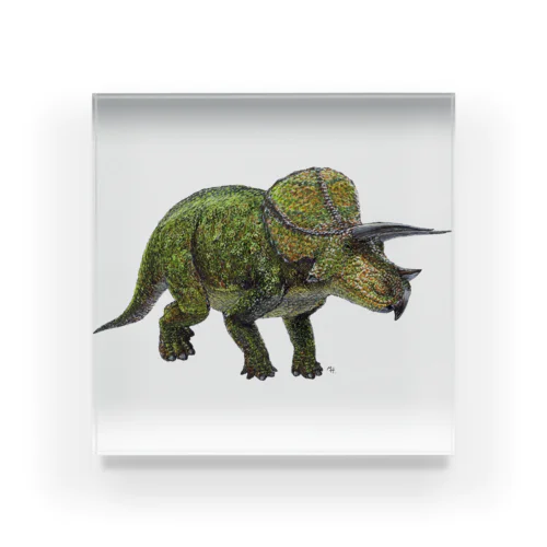 Triceratops(drawing) color アクリルブロック