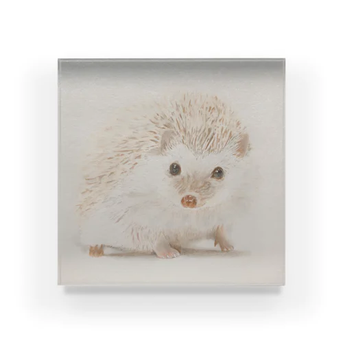 iam hedgehog🦔 Acrylic Block