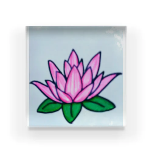 蓮花　ハス　ロータスカラー Acrylic Block