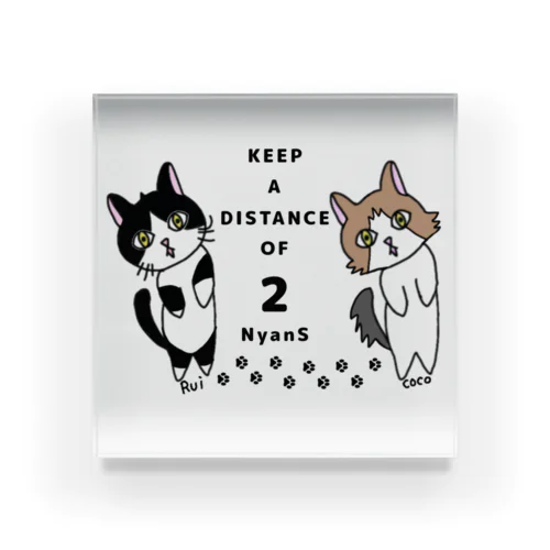 KEEP A DISTANCE OF 2 NyanS Acrylic Block