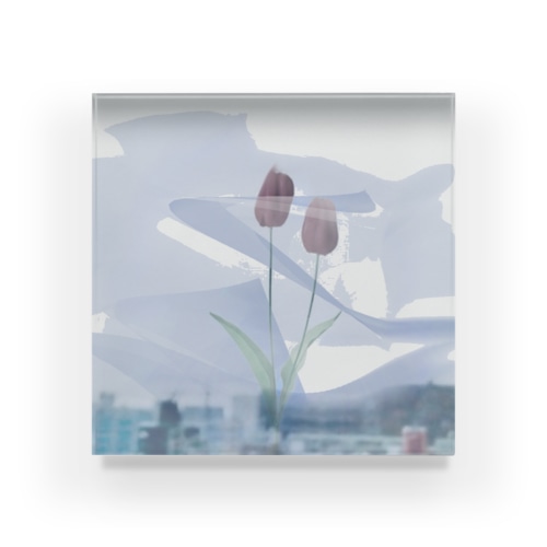 archive 1 Acrylic Block