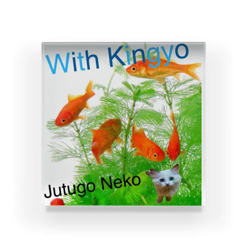 Jutugo Nekoが金魚とたわむれる? アクリルブロック