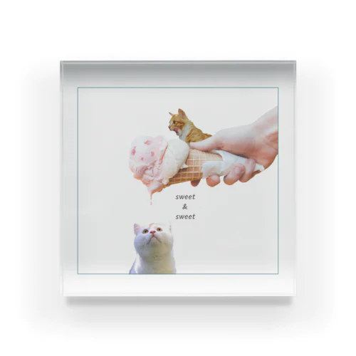 愛す猫 Acrylic Block