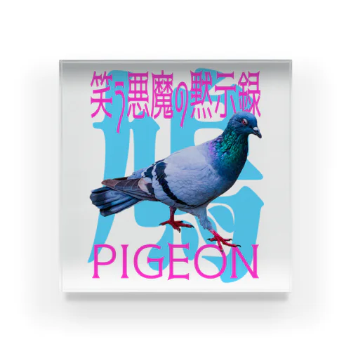 pigeon-6 アクリルブロック