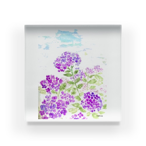 紫陽花 Acrylic Block