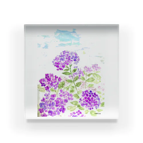紫陽花 アクリルブロック