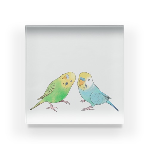 セキセイインコ　ちょこんとせきせいんこーず【まめるりはことり】 Acrylic Block