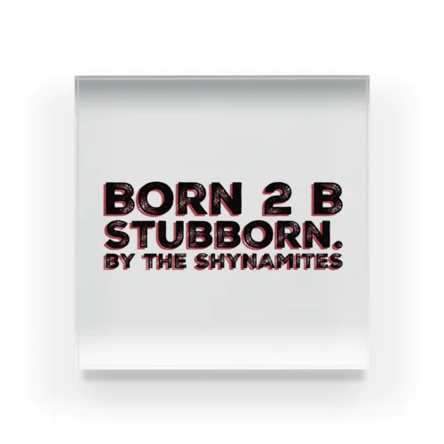 mini_Born 2 B Stubborn. Typorama Logo ver. アクリルブロック